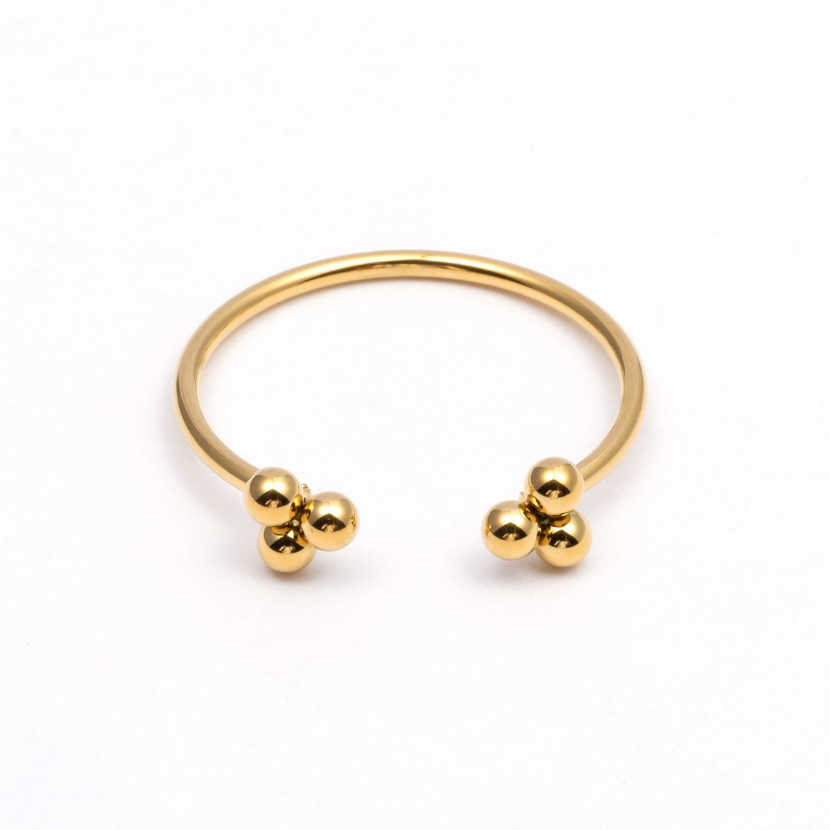 Ring Ziva